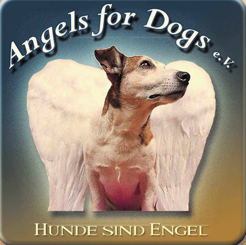 Angels for Dogs e.V. – gemeinnütziger Tierschutzverein